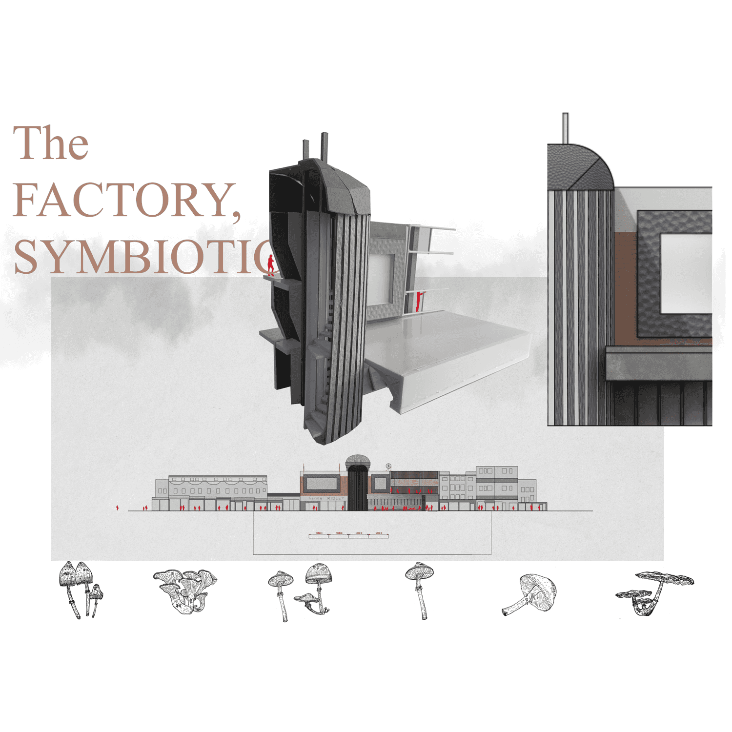The Factory, Symbiotic