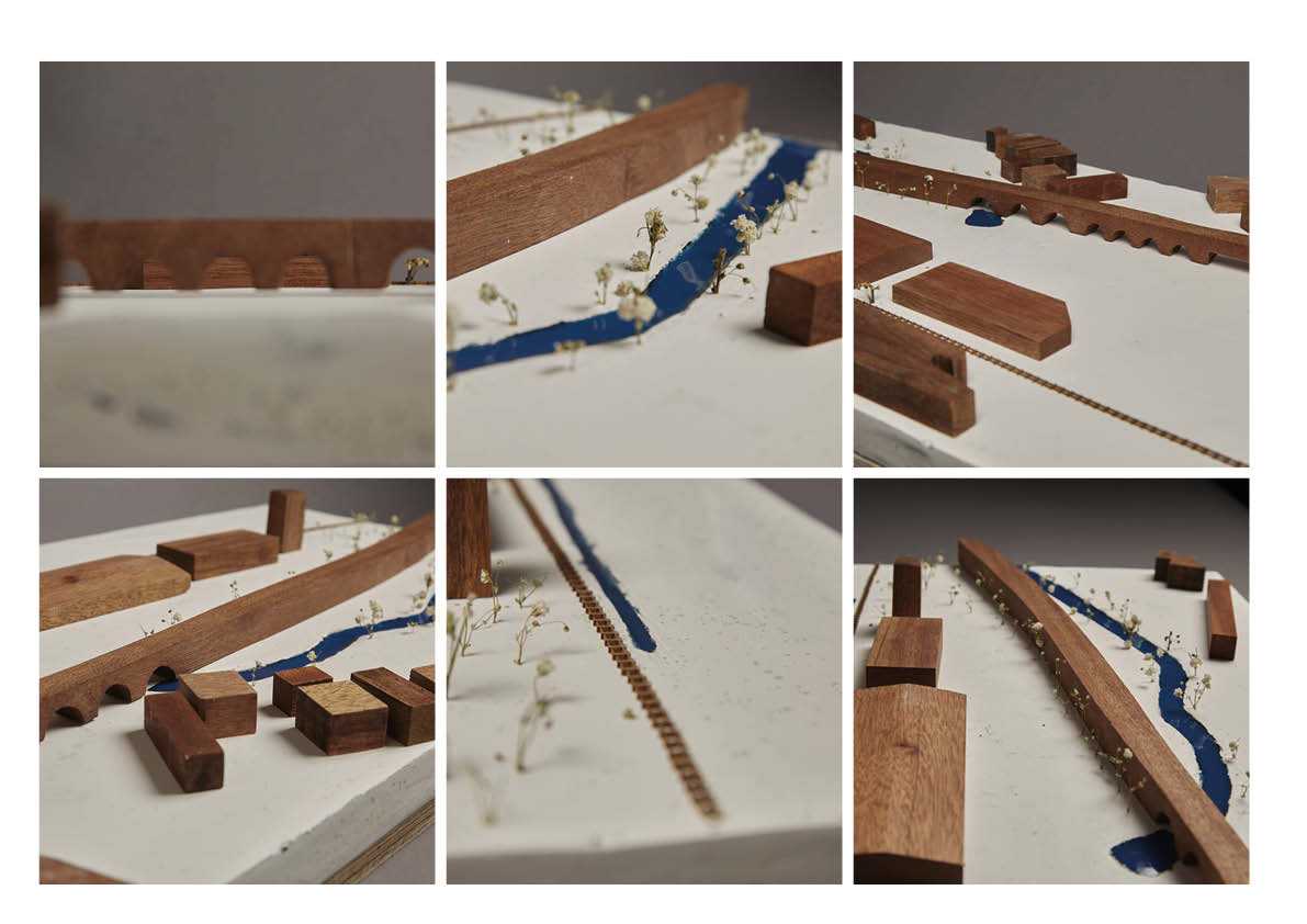Nature's Classroom: Massing Model