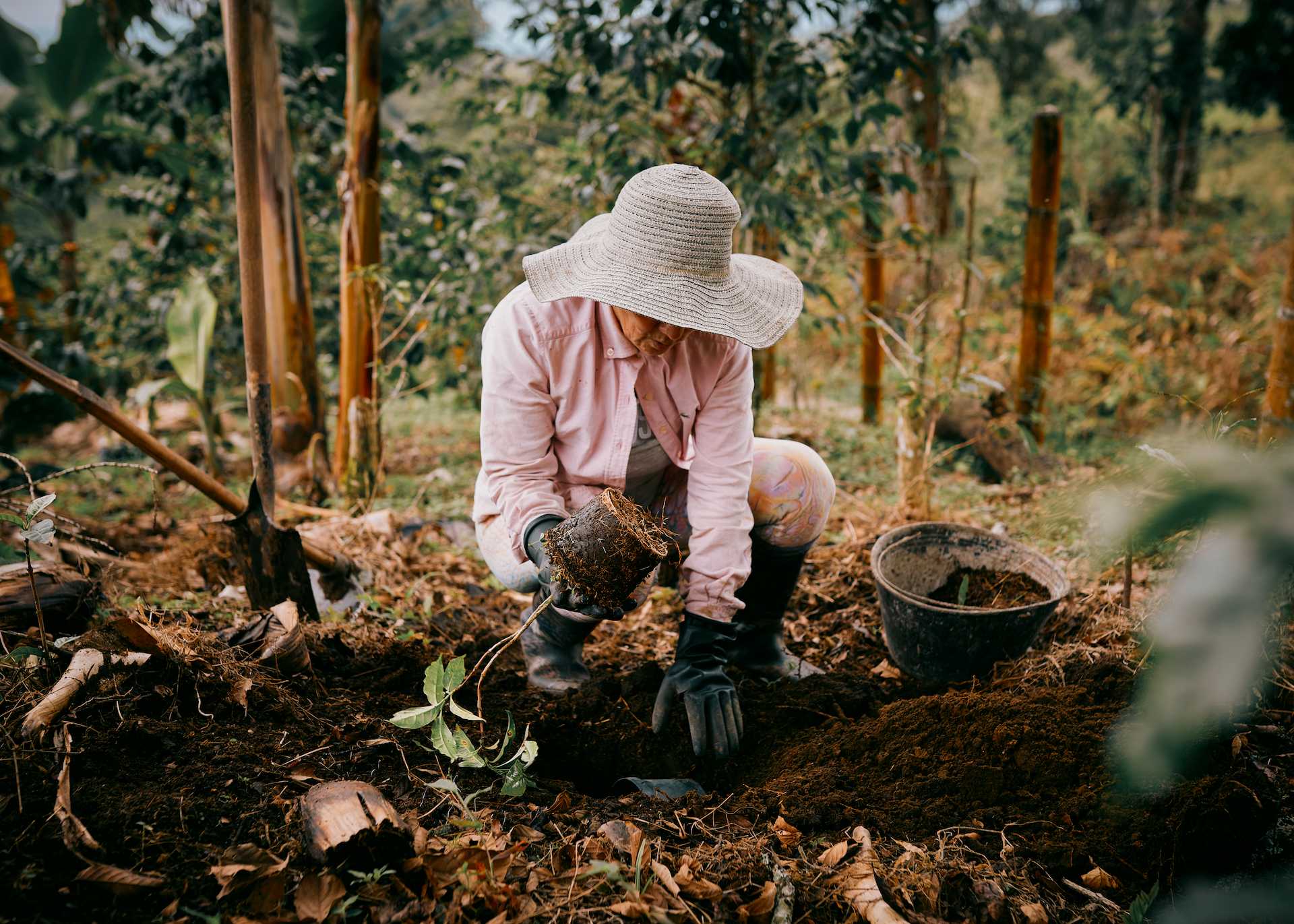 A Photographic Journey Through Colombia's Coffee Culture 