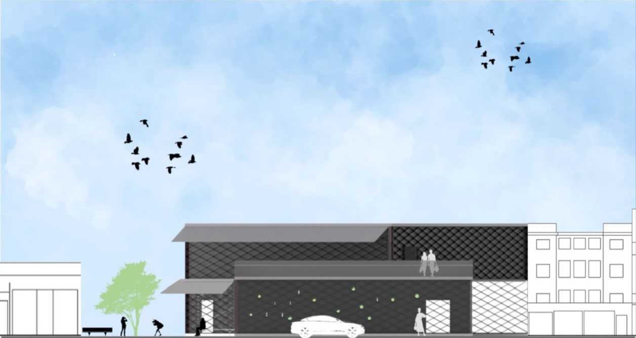 Elevation