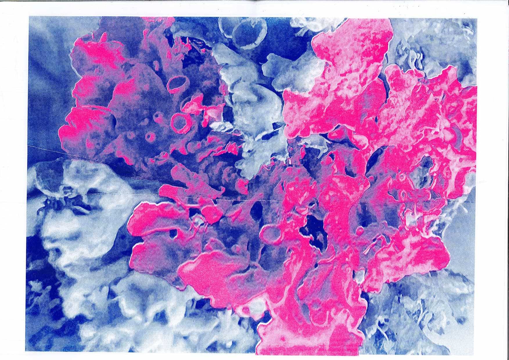 Lichen RISO Print