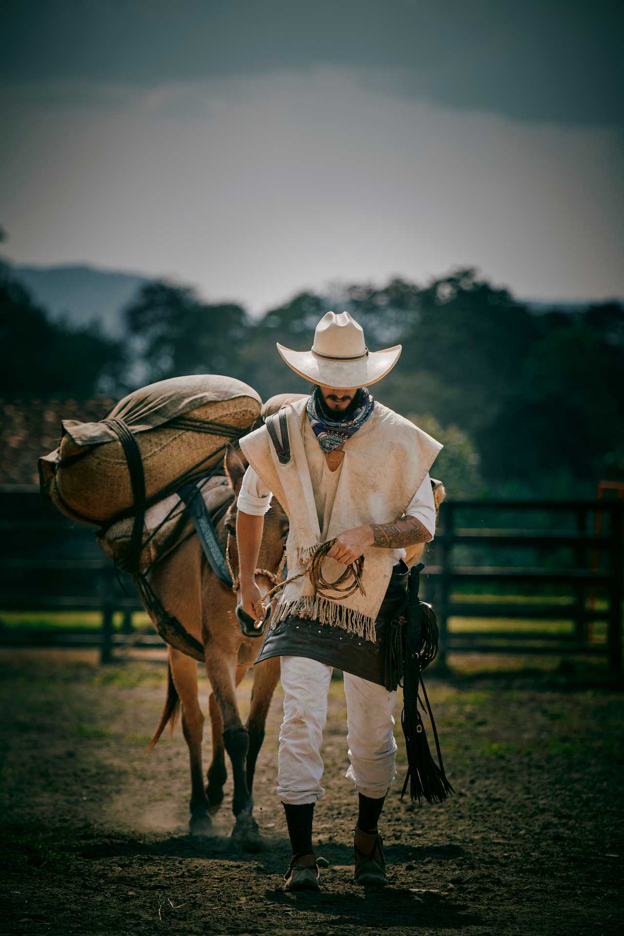 A Photographic Journey Through Colombia's Coffee Culture 