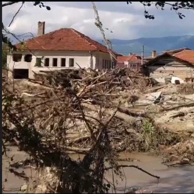Denitsa Kukeva