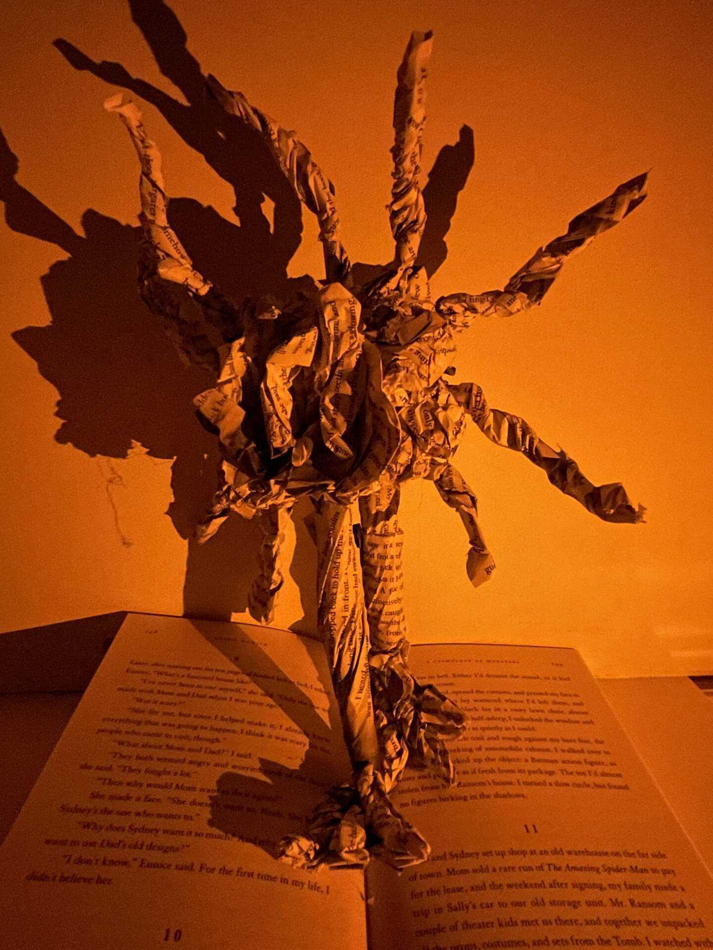 The FearFul, Final Major Project