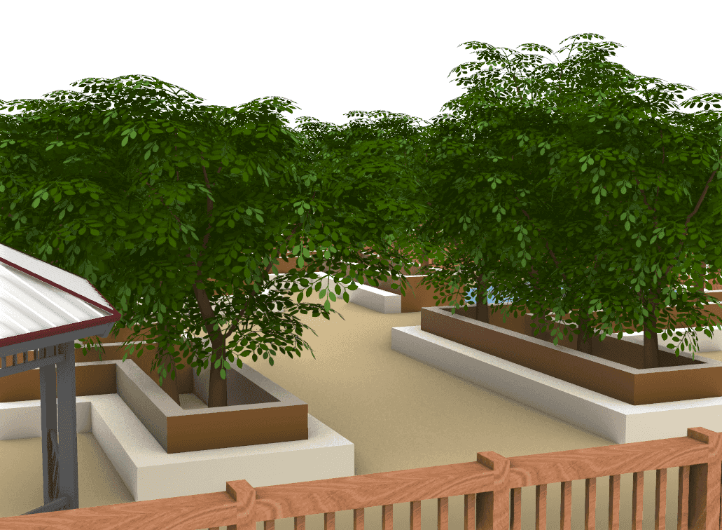 Garden Rooftop