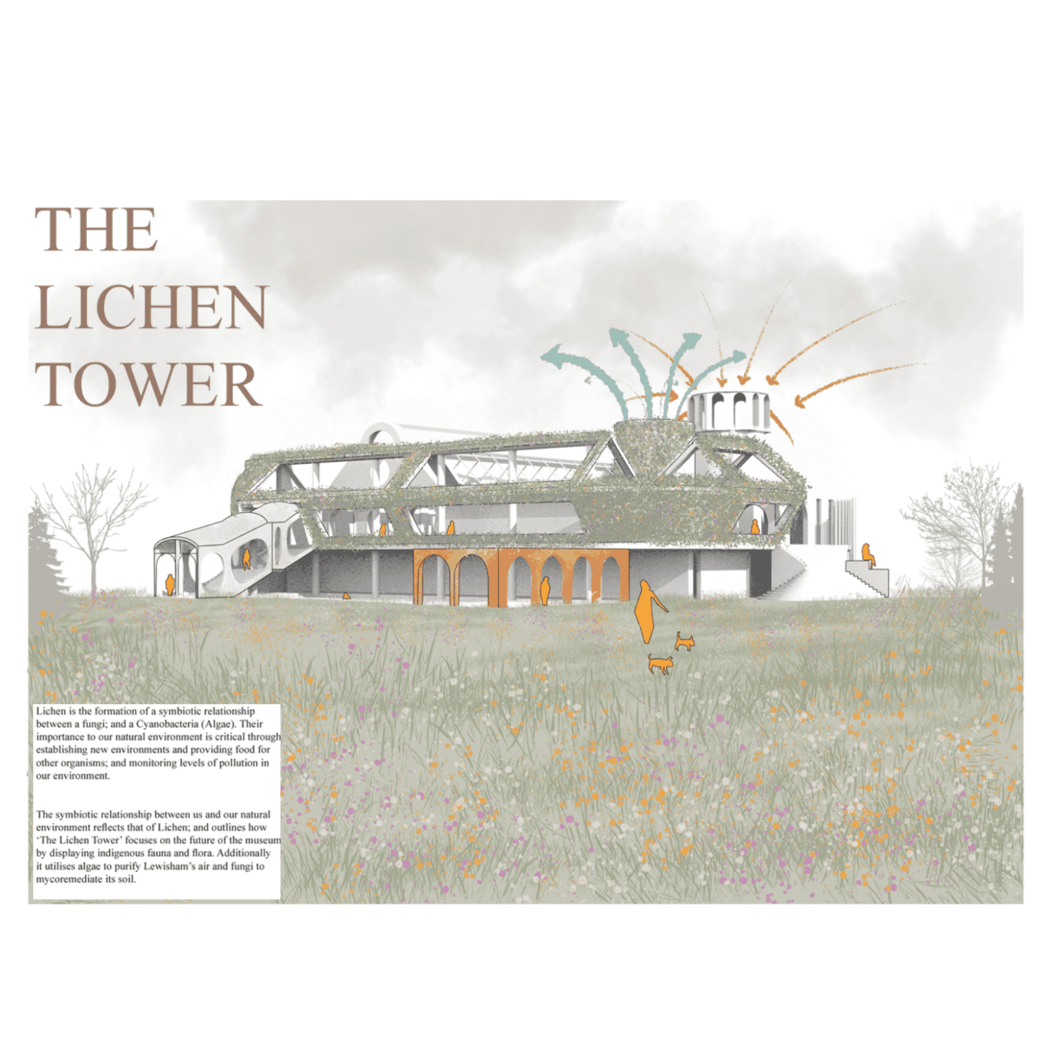 THE LICHEN TOWER