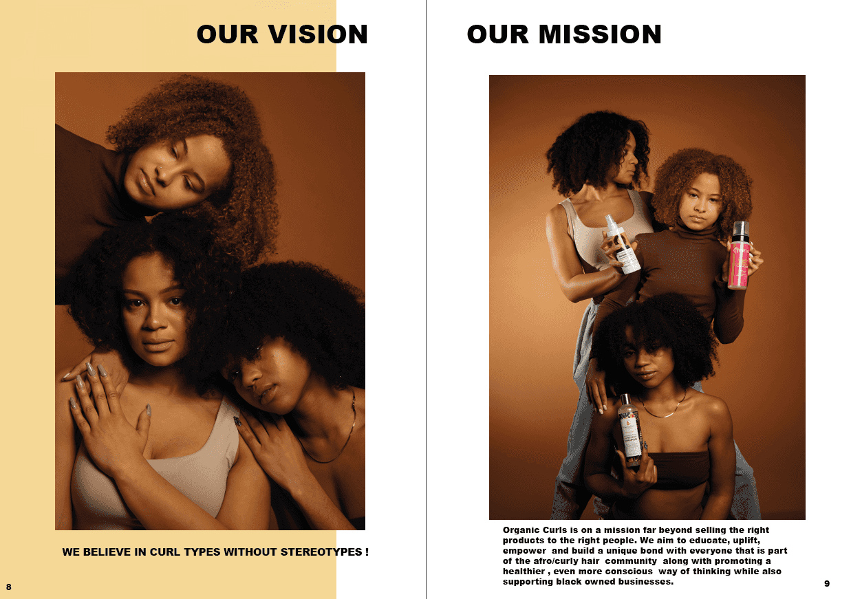 Final Major Project: Brand Vision and Mission