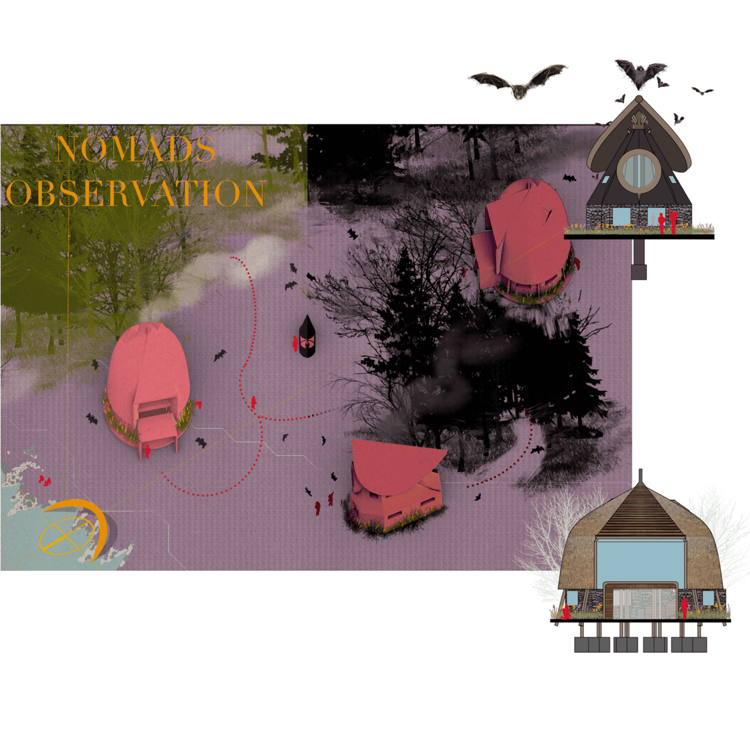 Nomads Observation