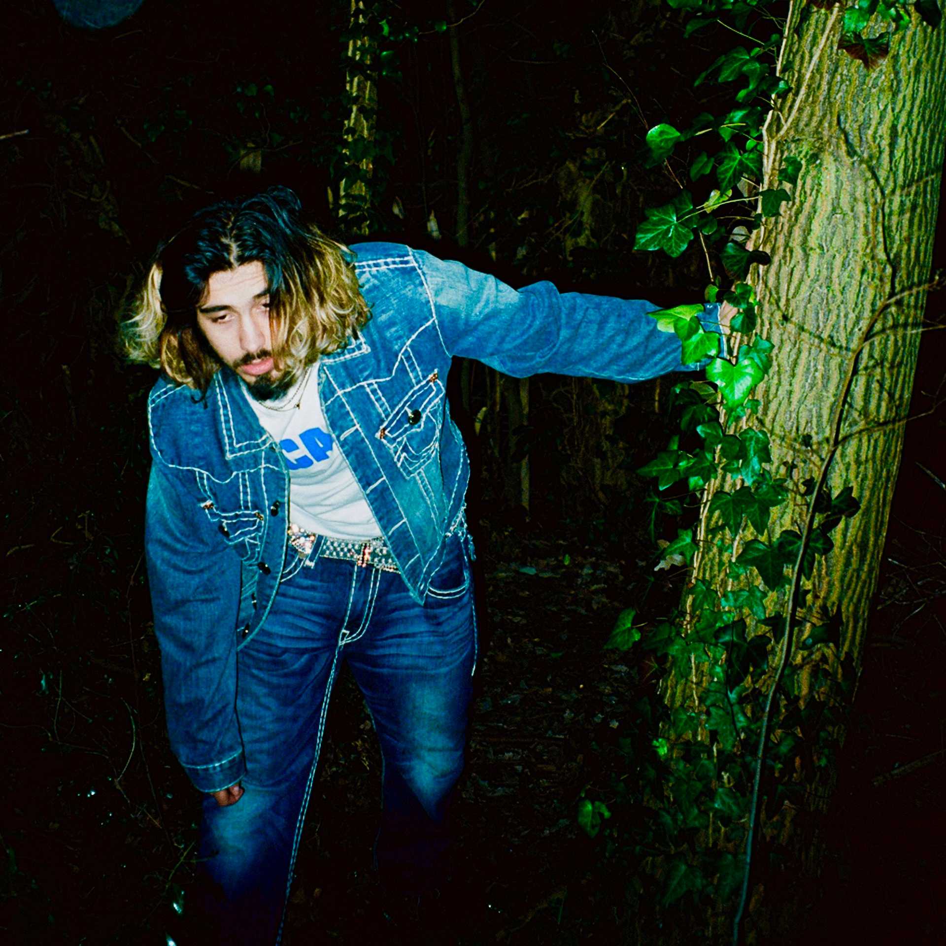 Through The Woods