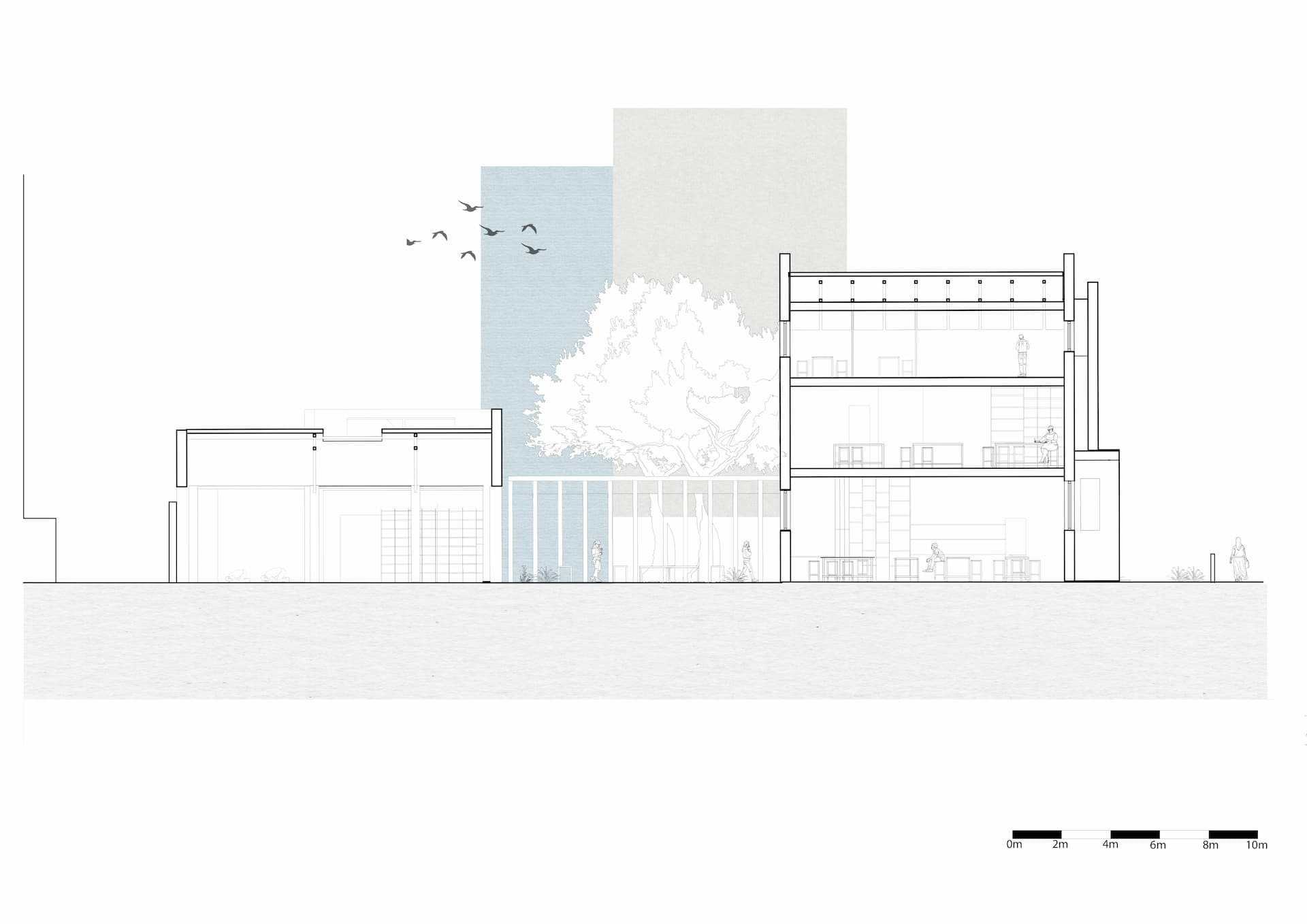 The Expression Centre